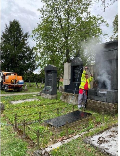 Společnost AVE pomáhá