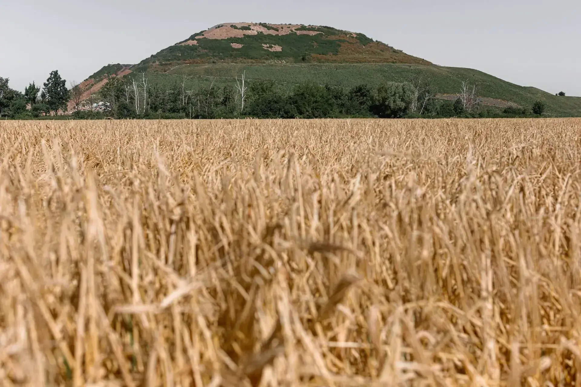 Prohlášení společnosti AVE CZ ke světelné signalizaci na skládce v Čáslavi